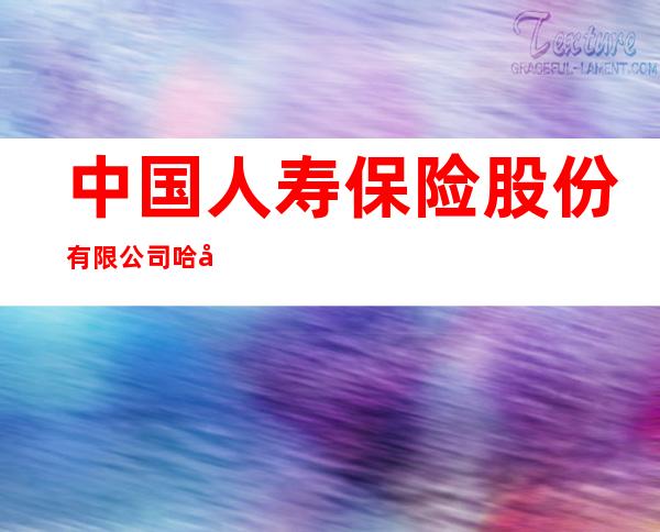 中国人寿保险股份有限公司哈密分公司