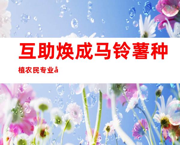 互助焕成马铃薯种植农民专业合作社
