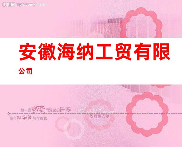 安徽海纳工贸有限公司