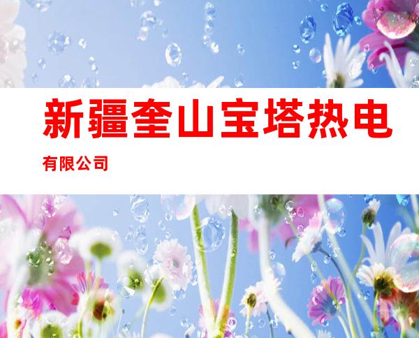 新疆奎山宝塔热电有限公司