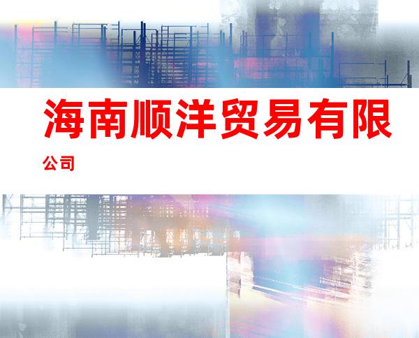 海南顺洋贸易有限公司